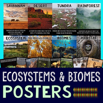 Preview of Biomes Habitats & Ecosystems Posters Beautiful Ecosystem Bulletin Board Posters