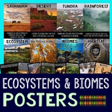 Biomes Habitats & Ecosystems Posters Beautiful Ecosystem B