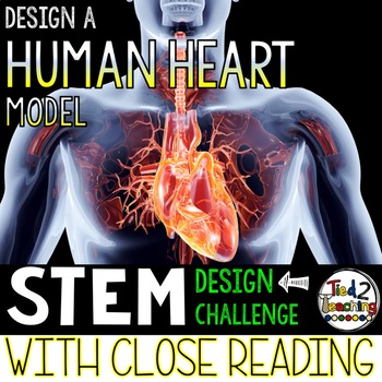 Preview of Human Body STEM Activities Build a Human Heart Model STEM with Close Reading