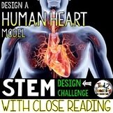Human Body STEM Activities Build a Human Heart Model STEM 