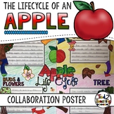 Apple Life Cycle Activity: Collaborative Research Poster