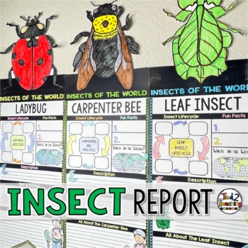 Preview of Insects & Bugs Report Banners | Insects Study Craft Activities Research Project