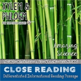 Xylem and Phloem Differentiated Close Reading