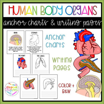 Preview of Human Organs Anchor Charts and Writing Pages