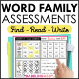 Word Families Phonics Assessments - Word Work Worksheets -