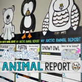 January Winter Arctic Animals Report Animal Craft Research