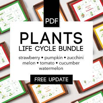 Preview of 50% OFF BUNDLE Plants Life Cycle & Nomenclature Cards Printable Worksheet