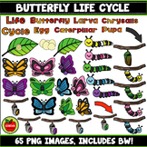 Butterfly Life Cycle Clip Art Set.