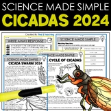 Cicada Swarm 2024 Life Cycle of a Cicada Reading Passages 