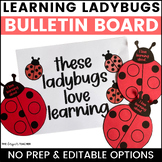 Spring May Bulletin Board Ladybug Craft & Door Decor Activity