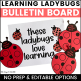 Spring May April March Bulletin Board Ladybug Craft & Door