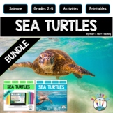 All About Sea Turtles Activities Reading Passages Ocean An