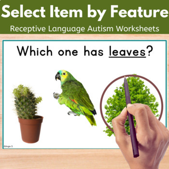 Preview of Select Item by Feature Receptive Language Worksheets