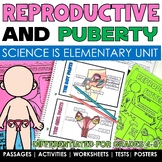 Reproductive System and Puberty Human Body Systems Workshe