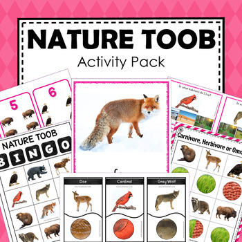 Safari Toob Nature Preschool Kindergarten Activity Pack | TPT