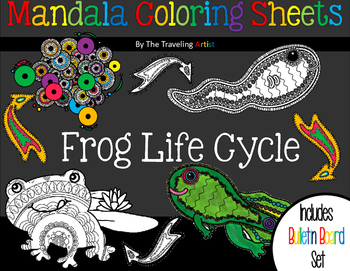 Preview of Frog life cycle Mandala Coloring  & Bulletin Board Set