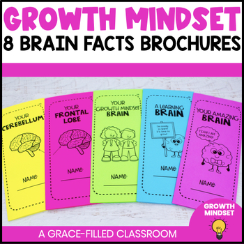 Preview of Growth Mindset Brain Facts Brochure