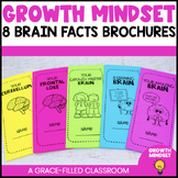 Growth Mindset Brain Facts Brochure