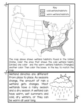 Wetlands Habitat Flip Book by 1st Grade Pandamania | TpT