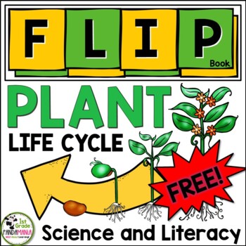 Preview of Plant Life Cycle Science and Literacy FLIP Book FREE!