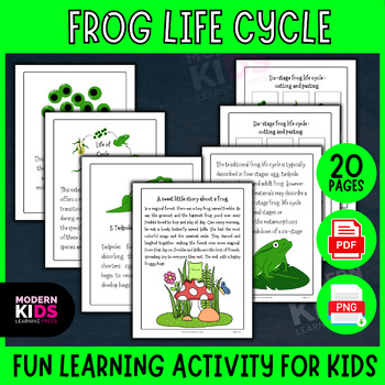 Preview of Frog Life Cycle - Foldable Activity Worksheet