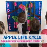 Apple Life Cycle 3-Way Agamograph Collaboration Poster | F
