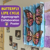Butterfly Life Cycle 3-Way Agamograph Poster | Fun Spring 