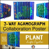 PLANT LIFE CYCLE 3-Way Agamograph Collaboration Poster | F