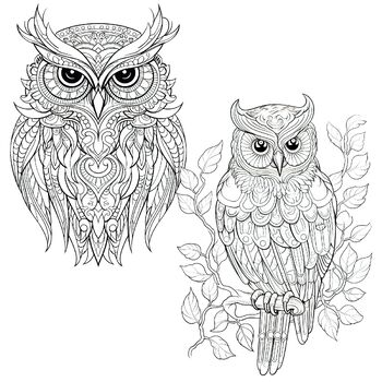 Owls Coloring Sheet – Made by Joel