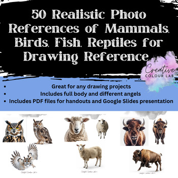 Preview of 50 Realistic Mammal, Reptile, Fish, Bird References for Drawing