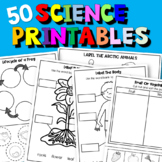 50 Science Printable Worksheets For Kindergarten No Prep |