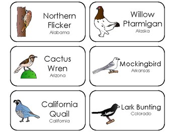 Preview of 50 State Birds Printable Flashcards. State Symbols Curriculum.