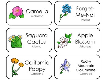 Preview of 50 State Flowers Printable Flashcards. State Symbols Curriculum.