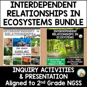 Preview of Interdependent Relationships Unit and Presentation Bundle