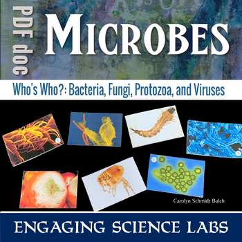 Preview of Bacteria Fungi Algae Protozoa and Viruses — A Card Sort Inquiry Activity