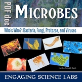 Bacteria, Fungi, Algae, Protozoa and Viruses: A Card Sort 