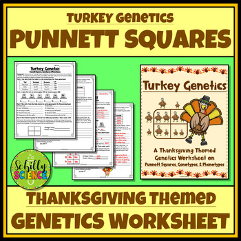 Preview of Thanksgiving Punnett Square Worksheet - Turkey Genetics
