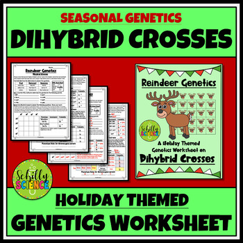 Preview of Christmas Dihybrid Cross Worksheet -Reindeer Genetics Punnett Squares