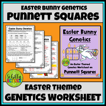 Preview of Easter Punnett Square Genetics Worksheet - Google Links Added