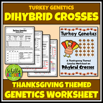 Preview of Thanksgiving Dihybrid Cross Worksheet -Turkey Genetics Punnett Squares