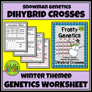 Preview of Winter Dihybrid Cross Worksheet -Snowman Genetics Punnett Square Worksheet