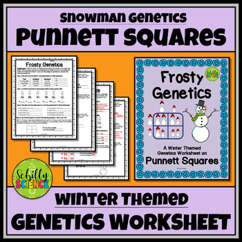 Preview of Winter Punnett Squares Worksheet - Snowman Genetics