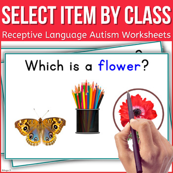 Preview of Receptive Language Activity Select Item by Class Which Questions Wh Questions