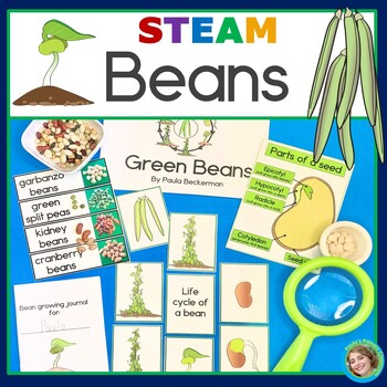 Preview of Bean Plant Life Cycle Book Observation Journal Parts of a Seed Graph & Sorting