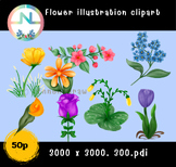 50 page Flower Clipart