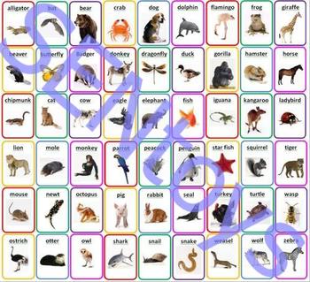 54 Animals Photo Flash Cards. Autism Aspergers ABA Resource ASD SEN by  SENtoys