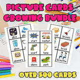 550 PICTURE CARDS GROWING BUNDLE FOR POCKET CHARTS, CENTER