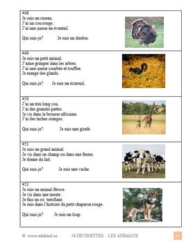 56 devinettes sur les animaux, French Immersion (#259) by Learn it ANY way