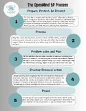 5P Process Infographic