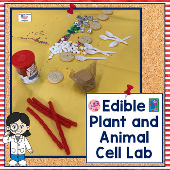 Preview of Edible Plant and Animal Cell Lab Activity